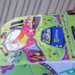Pakistan vs. India Match Becomes a Festival of Cricket and Culture with inDrive