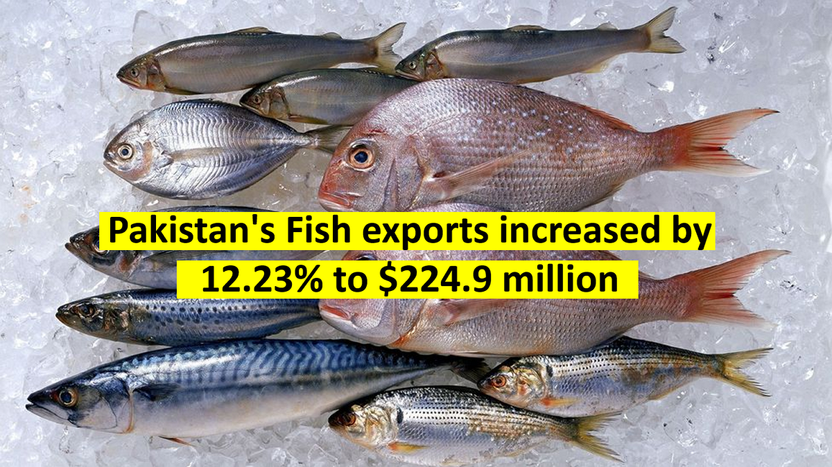 Pakistan's Fish exports increased by 12.23% to $224.9 million
