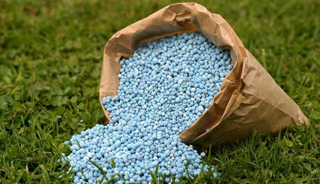 Fertilizer industry has the potential to accelerate agricultural transformation