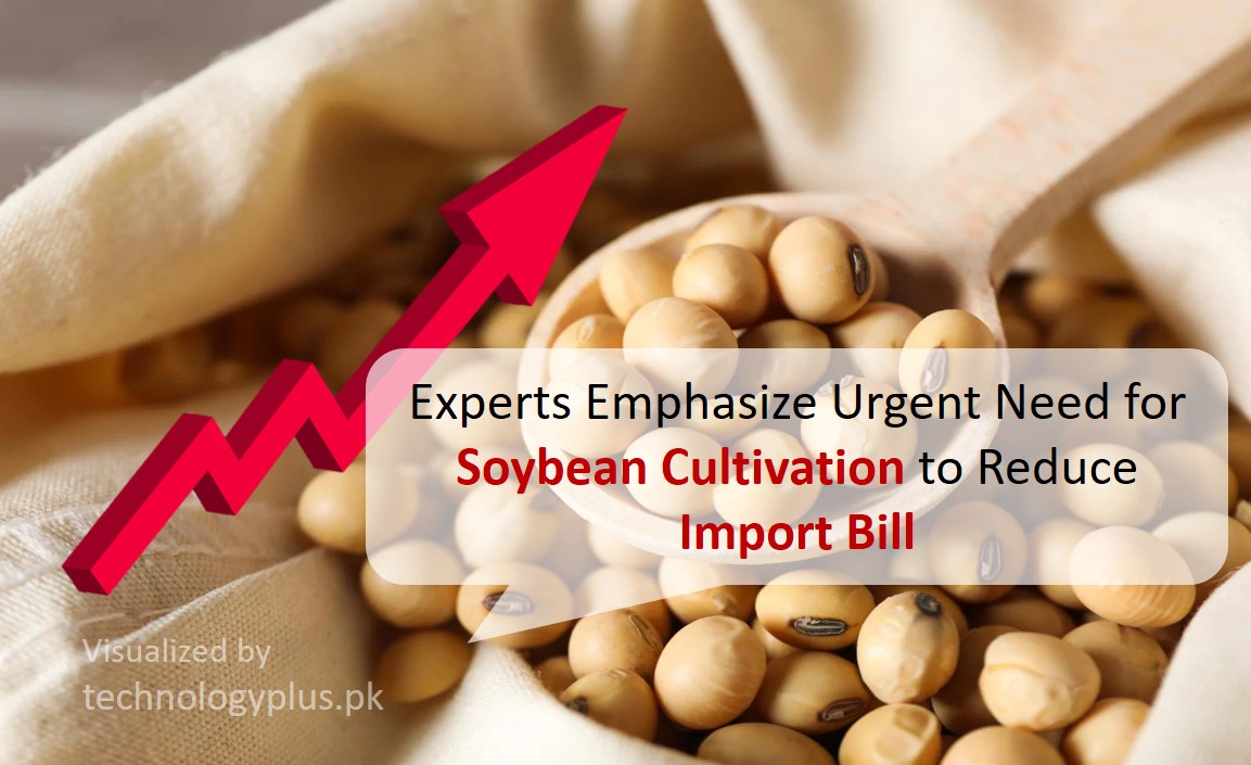 Experts Emphasize Urgent Need for Soybean Cultivation to Reduce Import Bill