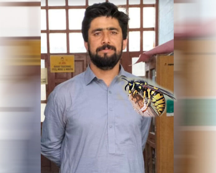 Young Man Dies After Suspected Wasp Sting Triggers Severe Allergic Reaction